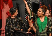 São Paulo recebe o espetáculo de dança flamenca “Vecinos”